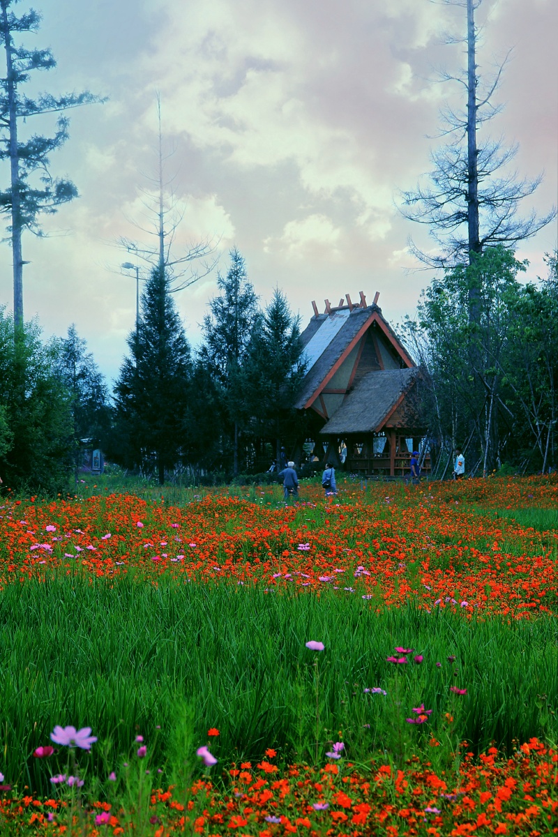 长白山二道湿地公园