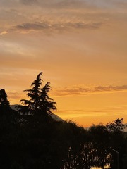 82B5A056-40FD-43A5-B9E3-00408B3116E1/L0/001
