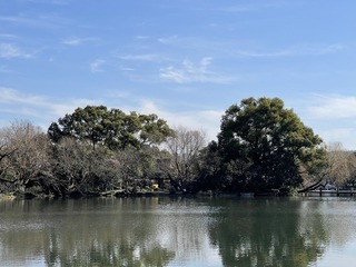 6A2320ED-C685-42A6-A25E-D761F9670E34/L0/001