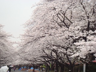 DCD6B872-D1C5-453D-A901-F3B41A6E051C/L0/001