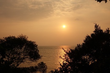 04009777-1616-46FD-BD2F-9345ADB927AB/L0/001