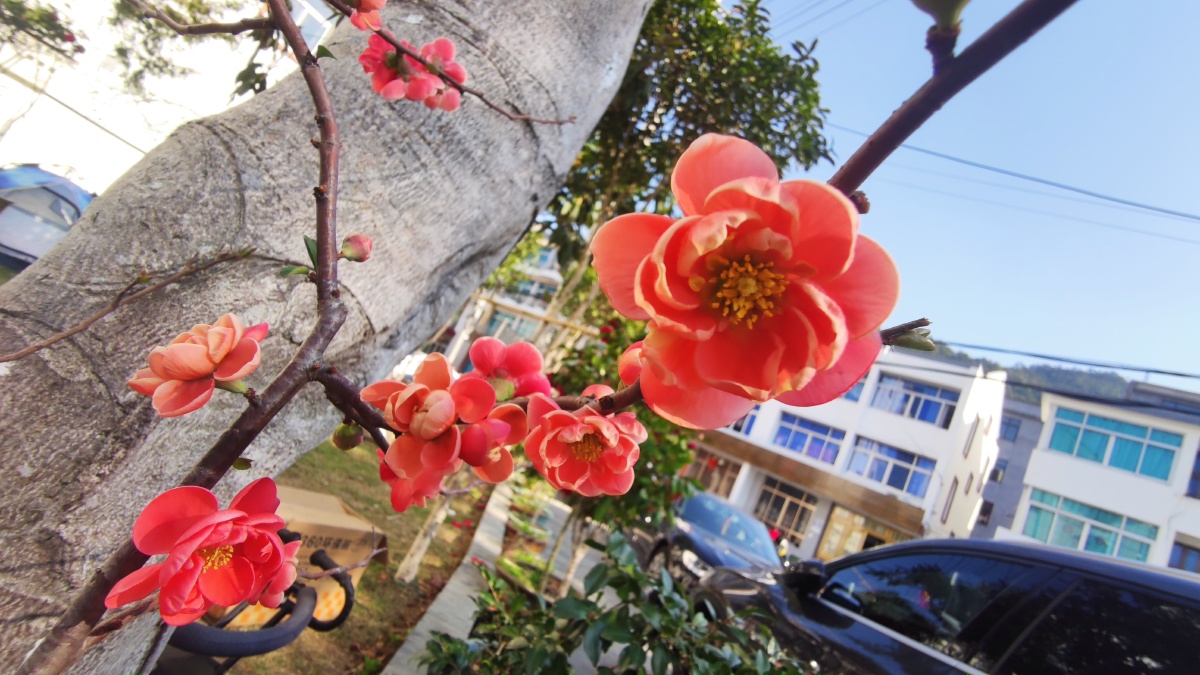 大侠一枝花189 - 图虫