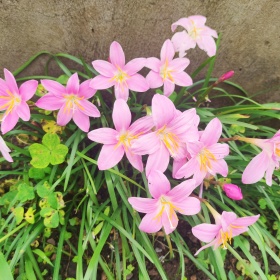 大侠一枝花189标为神奇倒影世界的图博 - 大侠一枝花189 - 图虫摄影网