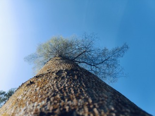 1000084019