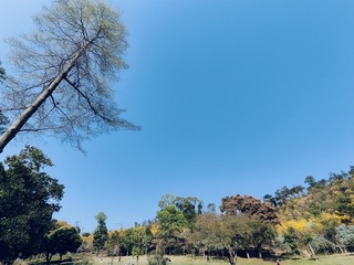 1000084016