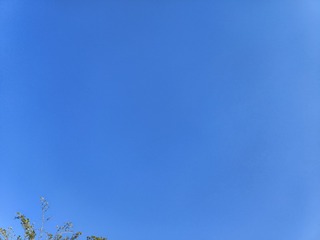 1000077975