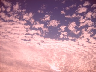 D80F8012-92D8-4D11-8797-9E72B25AE10F/L0/001