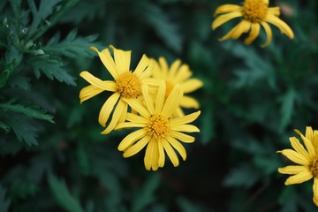 45A43334-21E1-40F8-B539-229FF9087AF9/L0/001