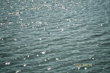 1344139F-2669-4DA7-8252-4C705F7321EC/L0/001