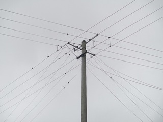 05B7EE86-F10F-4D33-9E95-A9832CE4C96A/L0/001