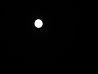 FC3C3813-63A0-4D0E-A7B5-C144D7CAC0EA/L0/001