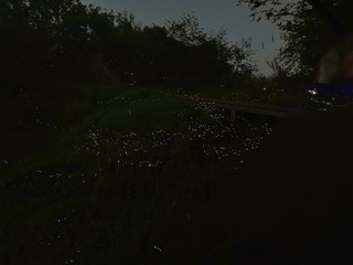 1280537