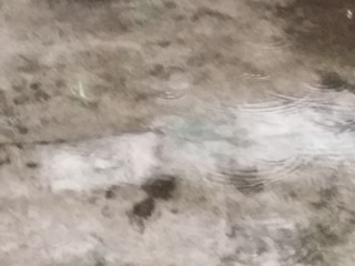265