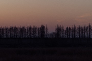 C4813FB9-69A0-48DF-9418-A0A5DD5A916A/L0/001