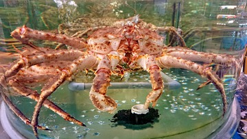 1622
