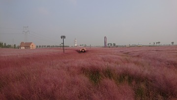 956418
