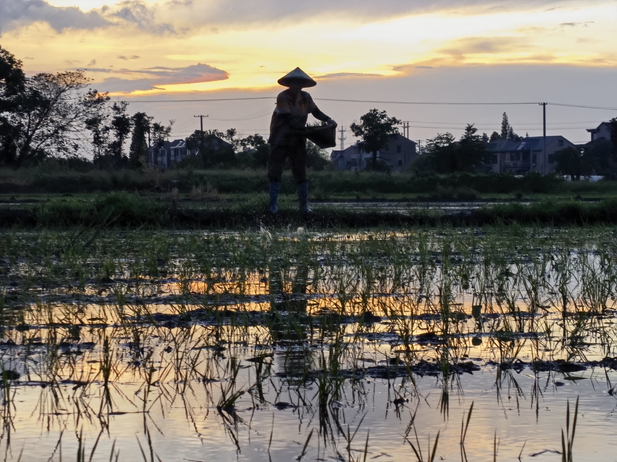 【夕阳下的劳动人民】 - 原野九y - 图虫