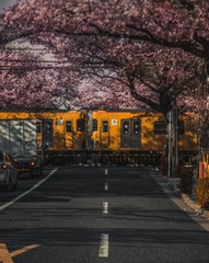 0567E1DF-7210-4DF8-AB50-0D12E08E2F77/L0/001