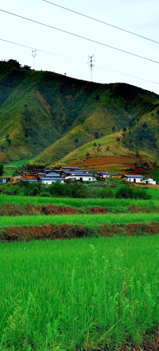 家乡的风景美如画