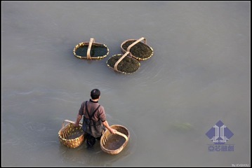 洗海带