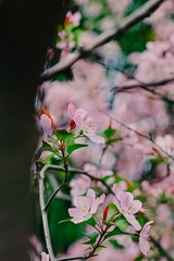 3D66C56D-D636-45EB-B7A0-4E5303728E5D/L0/001