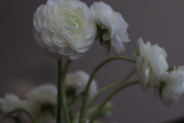 C09304FA-FED4-461B-8A67-F960F6D217BC/L0/001