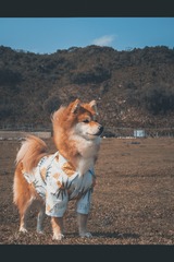 982874