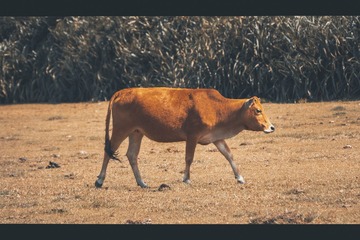 982862