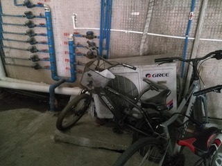36423