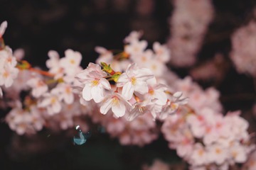 E8A6AA14-6A46-4075-9153-EF00E3CE3D5C/L0/001