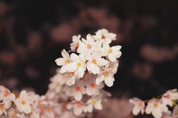 A37926D6-1C34-46A3-9DA5-5DAD7574803A/L0/001