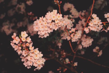 CF2A7265-A630-4B08-BD1A-76168EA8FD85/L0/001
