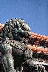 8391C517-05E8-49D2-AA4E-2092DA718553/L0/001
