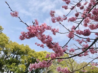 B6C0981E-714E-4F8C-AB44-F62D4C3632B0/L0/001