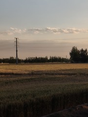 1000008725