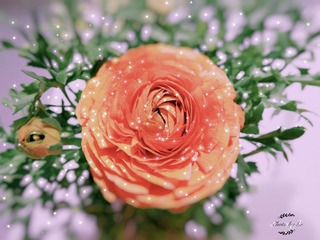 F49BD8BD-A791-467D-940B-67C6BF984B19/L0/001