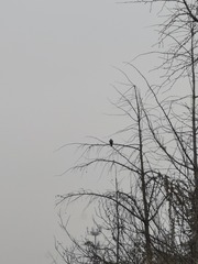 1005010