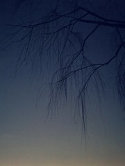 1004152