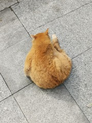 1005963