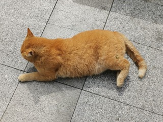 1005971