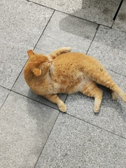 1005968