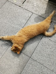 1005966
