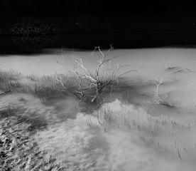 36092E60-13EF-4ED9-807A-CF35545D7220/L0/001