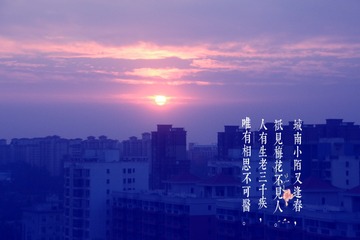 1000186161