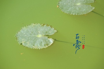 1000186163
