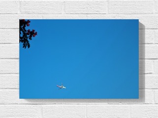 1000201396