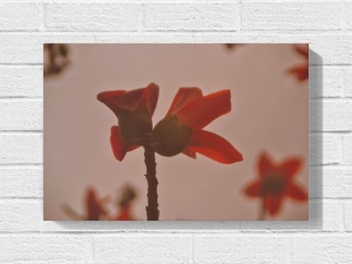 1000201391