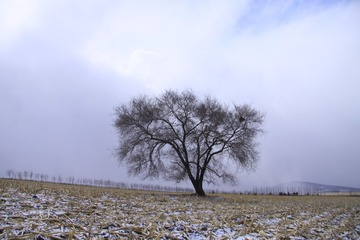 1000232658