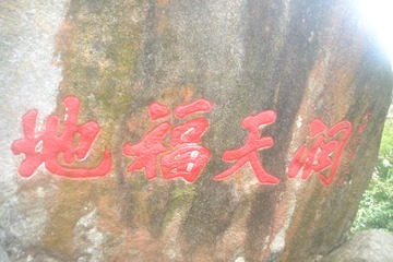 1000228247