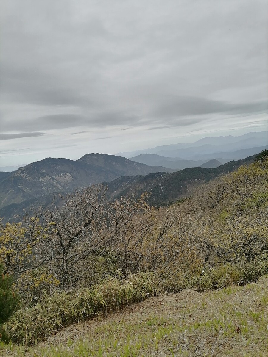 2021年4月中旬，在学校的组织下，我们专业的师生一同去大别山实习，爬山大半天，终于抵达大别山顶，虽然很累，但是却很开心，这壮阔的景观令人身心格外舒畅，特此分享！